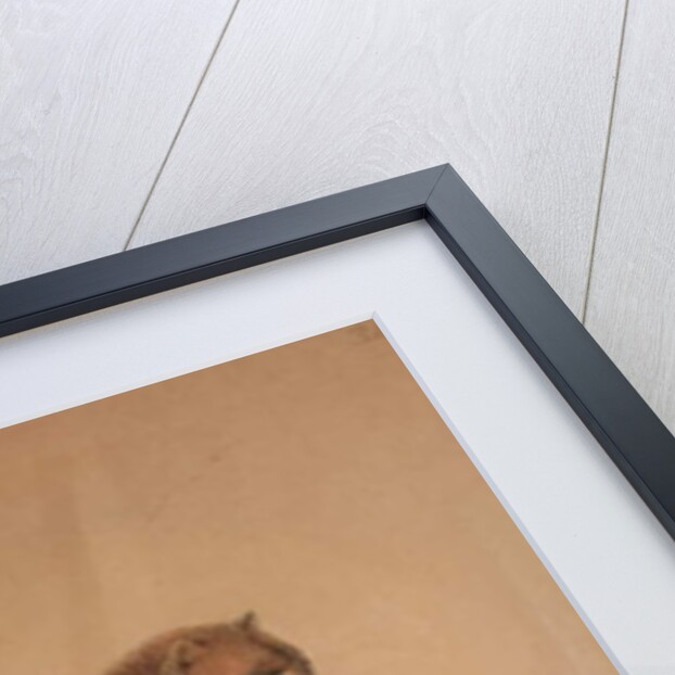 Yaguarundi Cat by Joseph Wolf