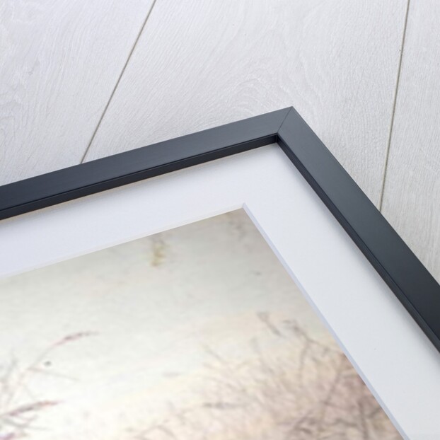 Manatee, 1879 by Joseph Wolf