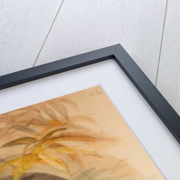 Stranger's Monkey by Joseph Wolf