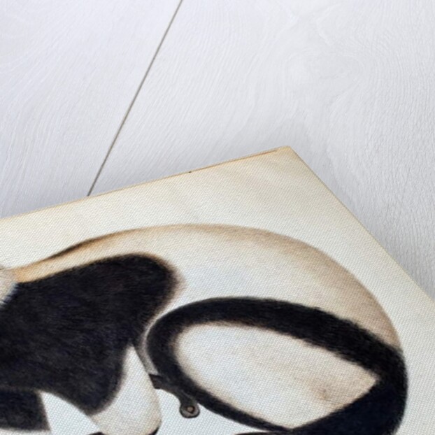 Black and white ruffed lemur by School Chinese