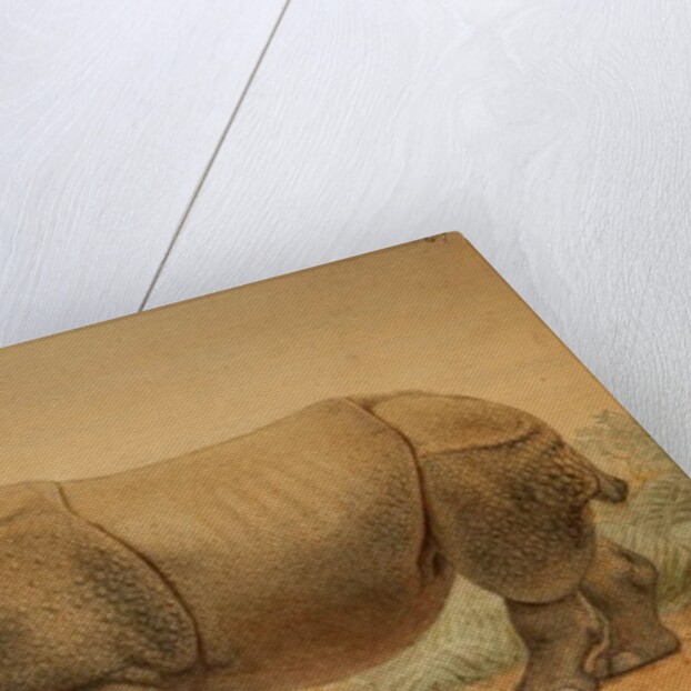 Indian Rhinoceros by Joseph Wolf