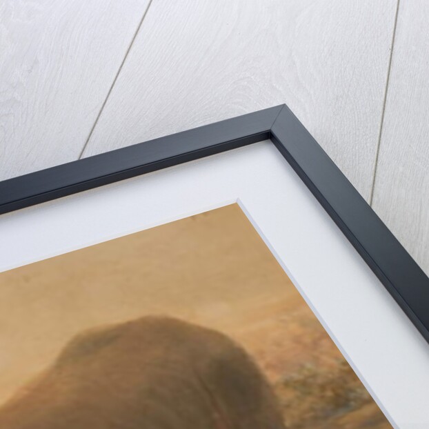 African Rhinoceros by Joseph Wolf