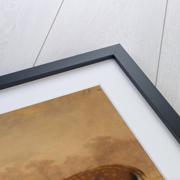 Manchurian Deer by Joseph Wolf