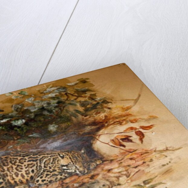 Ocelot, 1851-52 by Joseph Wolf