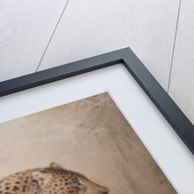 Leopards, 1851-69 by Joseph Wolf