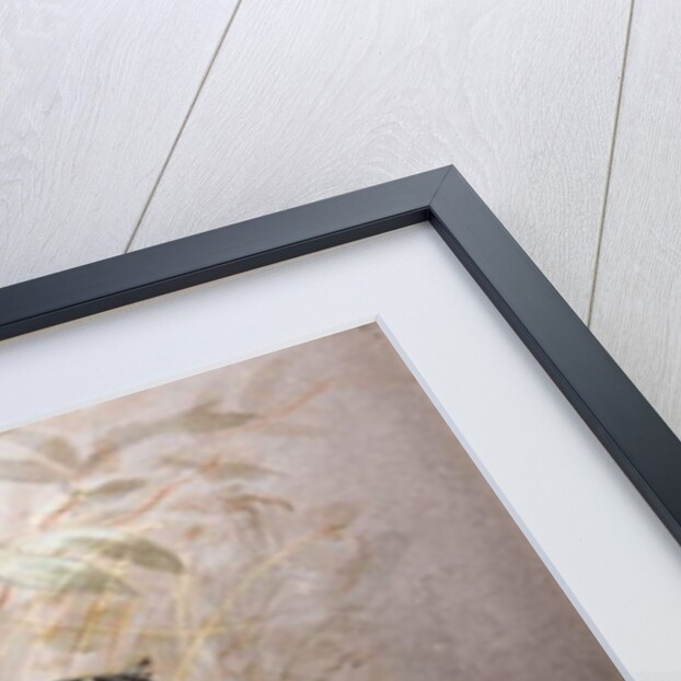 Ocelot, 1851-52 by Joseph Wolf