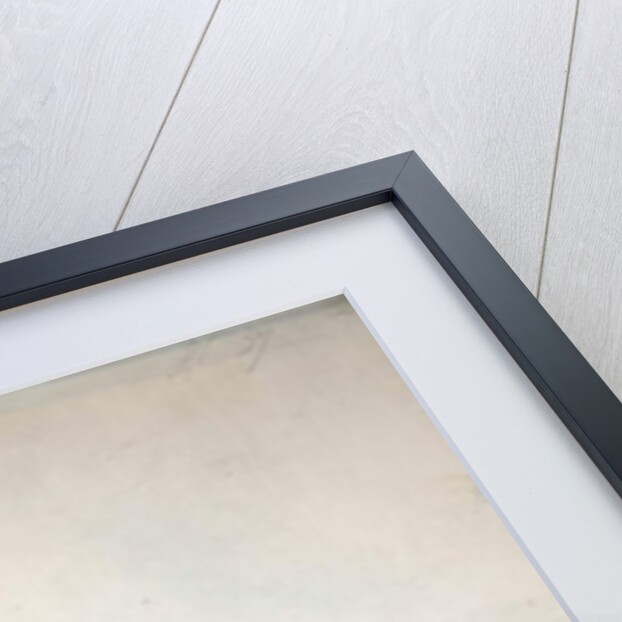 Macropus parryi, 1834 by Edward Lear