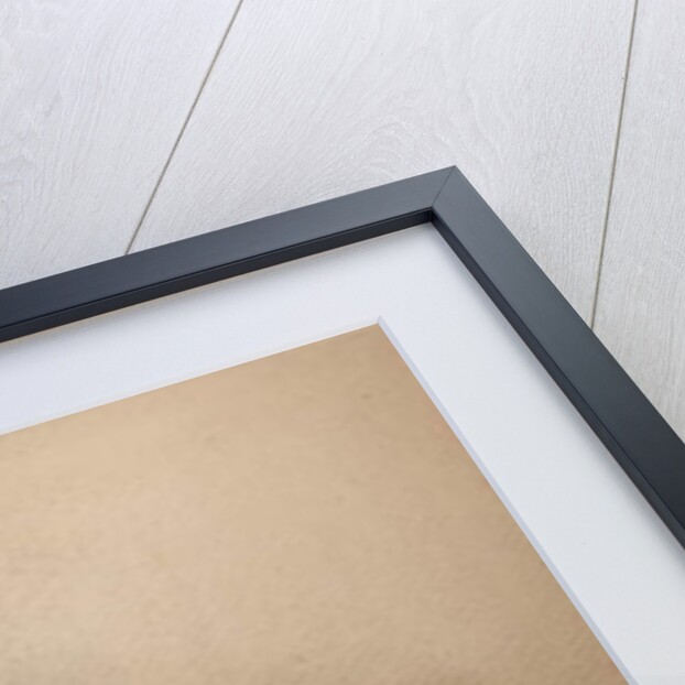 Cynictis steedmanii, c.1835 by Edward Lear