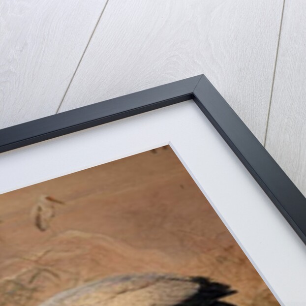 Indian Tantalus, 1856-67 by Joseph Wolf