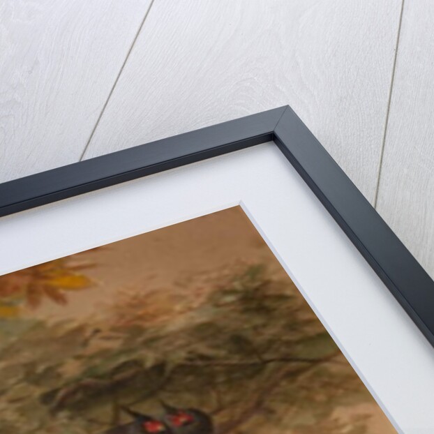 Purple Kaleege, c.1851-76 by Joseph Wolf