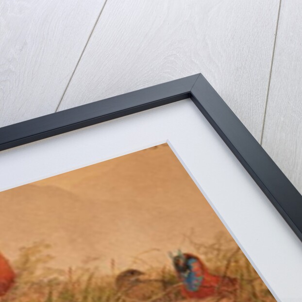 Horned Tragopan, c.1851-76 by Joseph Wolf