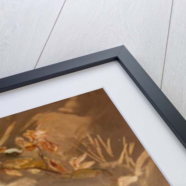 American Skunk by Joseph Wolf