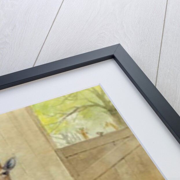 Giraffe and Young, 1852 by Joseph Wolf