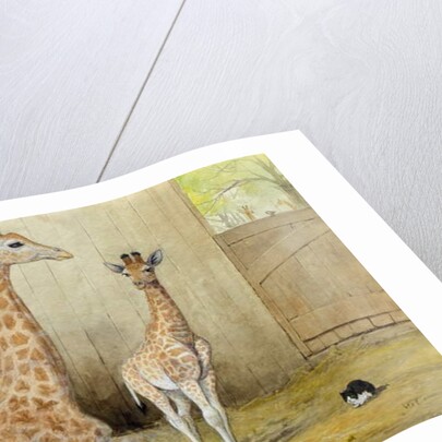 Giraffe and Young, 1852 by Joseph Wolf