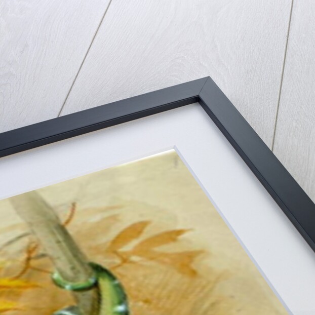 Green Boa by Joseph Wolf