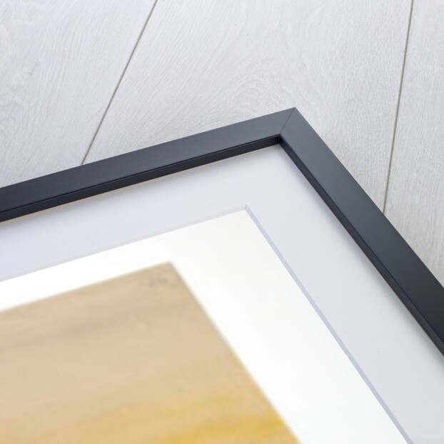 Kiwi Mantells, 1852 by Joseph Wolf