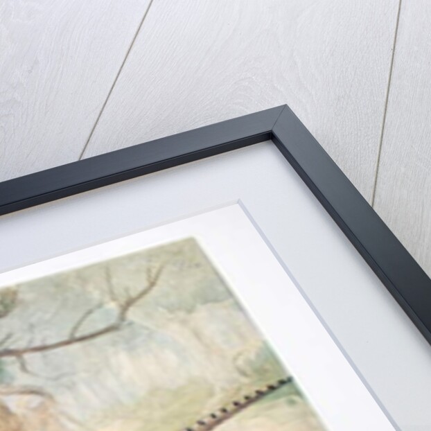 Japanese Pheasants, 1865 by Joseph Wolf