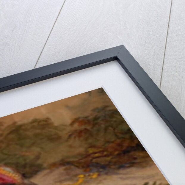 Ring-necked Pheasant, 1852-54 by Joseph Wolf