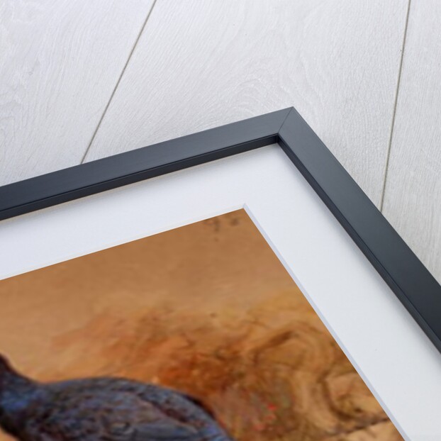 Rufous-tailed Pheasant, 1852-54 by Joseph Wolf