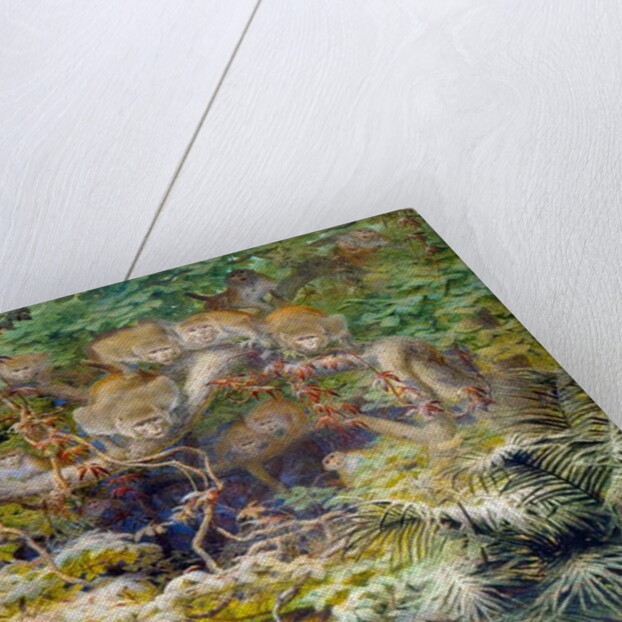 Row in the Jungle, 1863 by Joseph Wolf