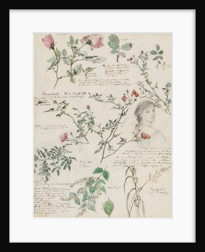 Studies of plants and figures made in Rome and Pankow, Berlin, 1868 by German School