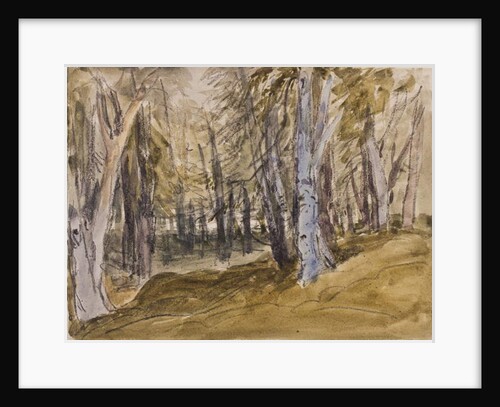 Trees on Box Hill by David Cox