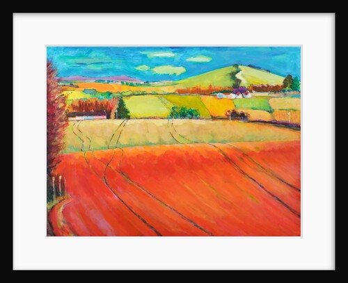 Roundhill, 2011 by Marco Cazzulini