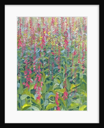 Foxgloves, 2014 by Leigh Glover