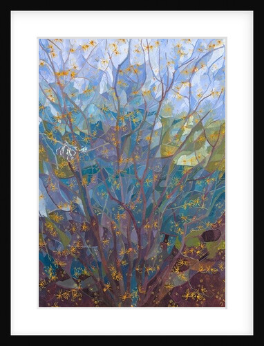 Witch Hazel in Flower, 2015 by Leigh Glover