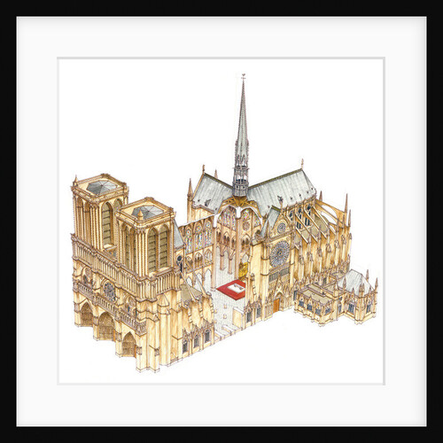 Notre-Dame Cathedral. Paris, France, 2014 by Fernando Aznar Cenamor