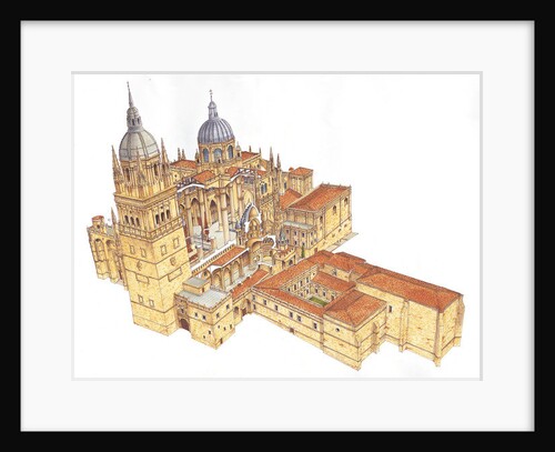 Salamanca Cathedral. Spain by Fernando Aznar Cenamor