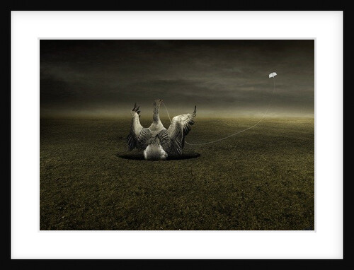 Help on the way, 2013 by Johan Lilja