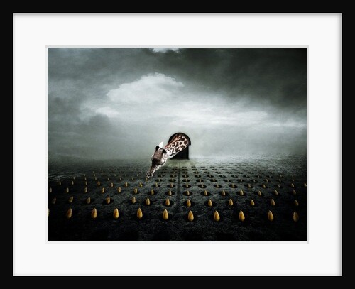 Ttulip thief 2, 2013 by Johan Lilja