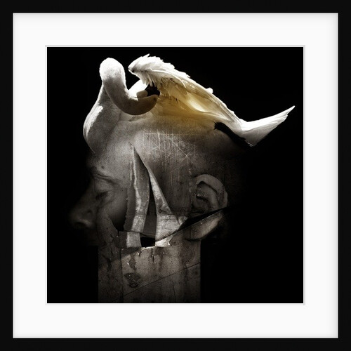 Swan, 2013 by Johan Lilja