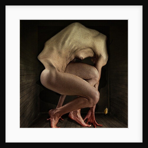 Shame, 2012 by Johan Lilja