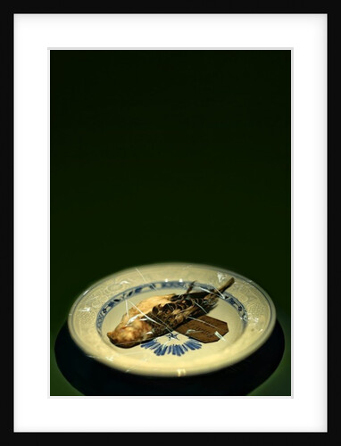 Bird plate, 2015 by Johan Lilja