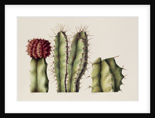 Cacti, 1999 by Annabel Barrett