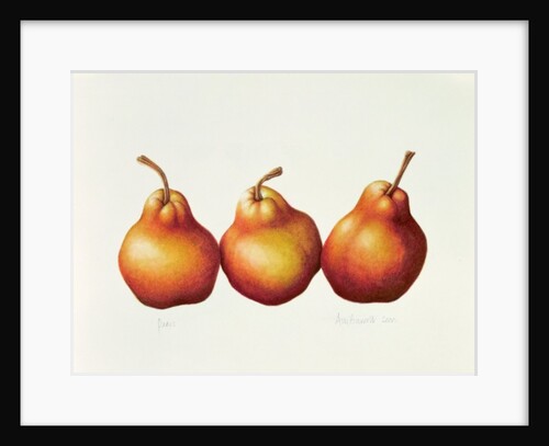 Pears, 2000 by Annabel Barrett