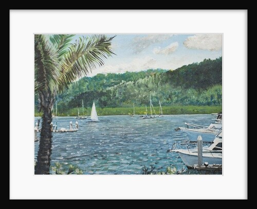 Cairns Australia, 1998, by Vincent Alexander Booth