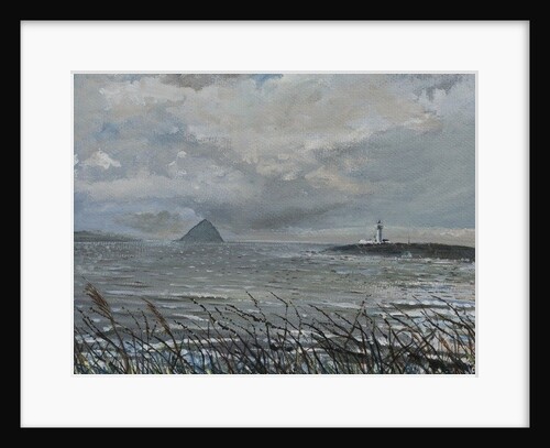 Ailsa Craig from Arran, 2007 by Vincent Alexander Booth