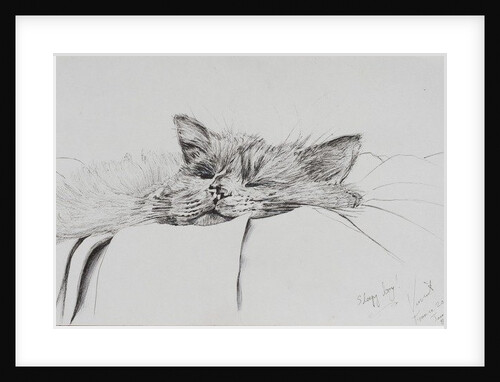 Monty sleepy boy, 2013 by Vincent Alexander Booth