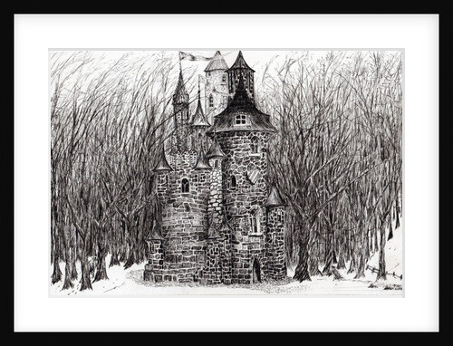 The Castle in the forest of Findhorn, 2006 by Vincent Alexander Booth