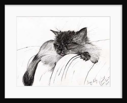 Sleepy Baby by Vincent Alexander Booth