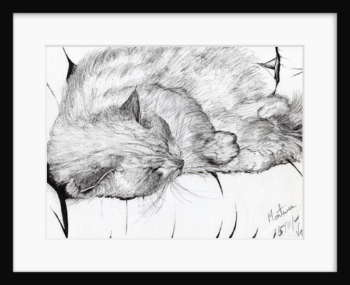 Montwee, 2000 by Vincent Alexander Booth