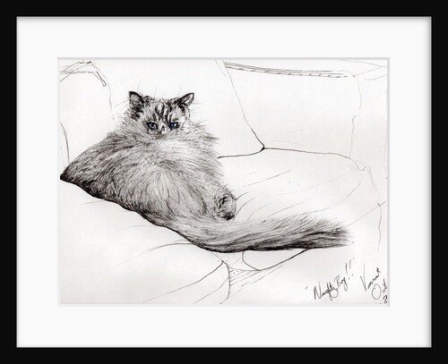 Naughty boy, 2006 by Vincent Alexander Booth