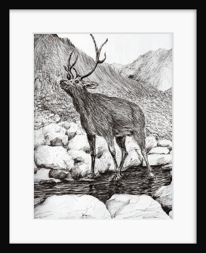Stag, 2011 by Vincent Alexander Booth