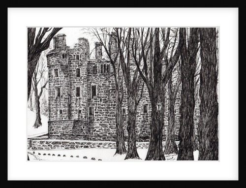 Huntly Castle Scotland, 2007 by Vincent Alexander Booth