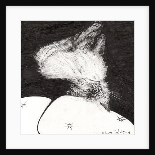 Sleepy Belina, 2015 by Vincent Alexander Booth