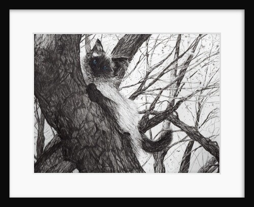 Up the apple tree, 2006 by Vincent Alexander Booth
