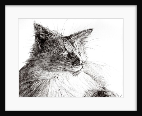 Monty cosy boy, 2015 by Vincent Alexander Booth